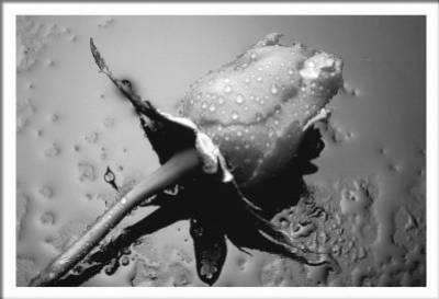 ...............................................................................................