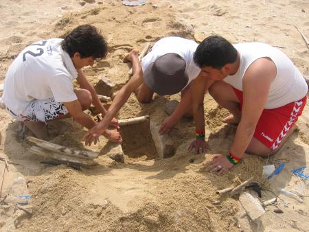 ...............................................................................