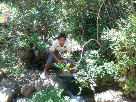 ......................................................................................