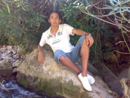 ..........................................................