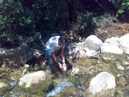 ...................................................................................